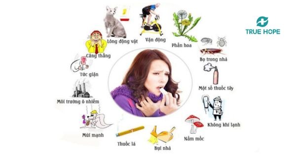 Nguyên nhân gây lên bệnh tai mũi họng