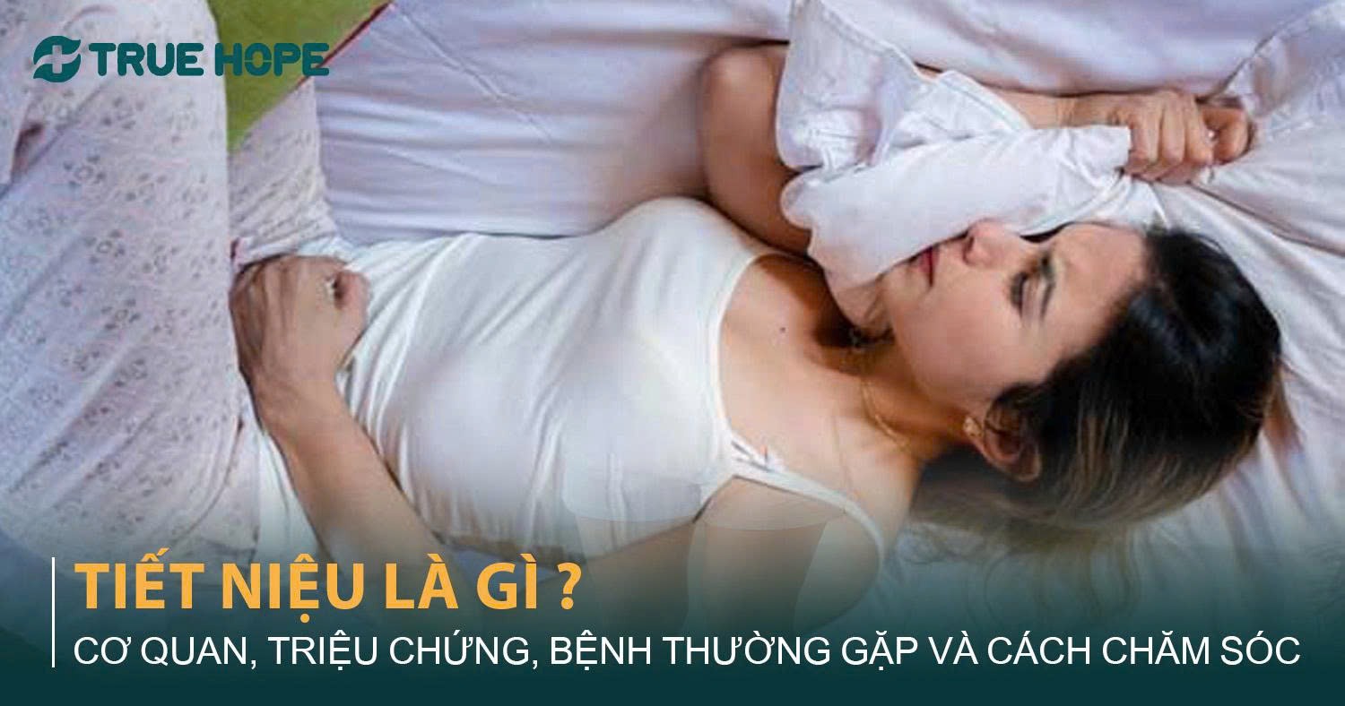 Tiết niệu