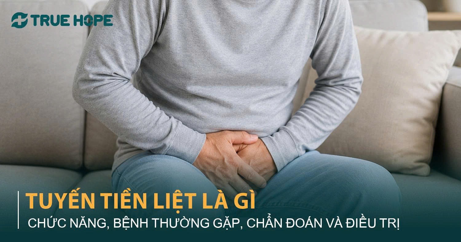 Tuyến tiền liệt