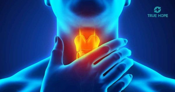 Nhóm bệnh nội khoa thường gặp