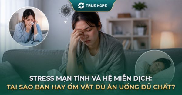Stress mạn tính và hệ miễn dịch