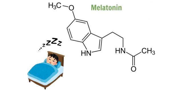 Melatonin có vai trò quan trọng trong điều hòa chu kỳ ngủ – thức