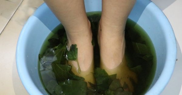 Không nên ngâm chân nước nóng lá lốt khi đang có cơn Gout cấp