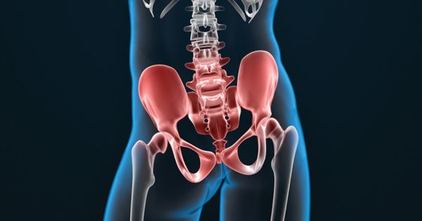Đau vùng chậu ở nam giới - hình ảnh mô phỏng vùng chậu nam