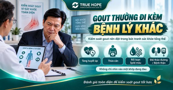 Những bệnh liên quan đi kèm khi mắc bệnh gout