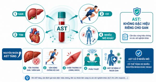 AST không chỉ có ở gan