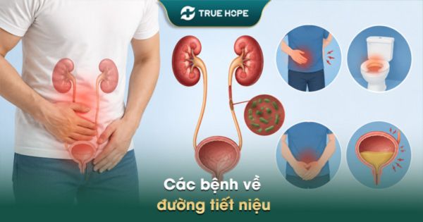 các bệnh về đường tiết niệu