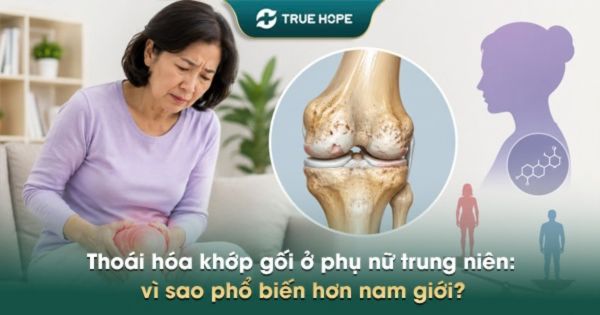 Thoái hóa khớp gối ở phụ nữ trung niên: vì sao phổ biến hơn nam giới?