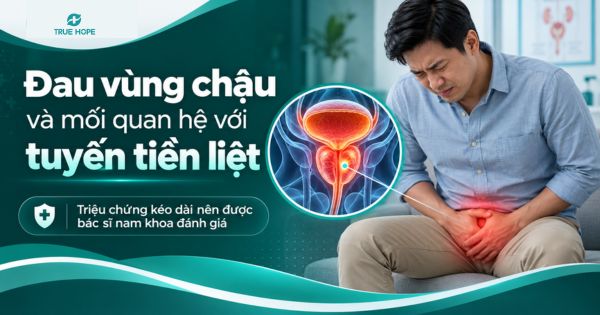 Đau vùng chậu và mối quan hệ với tuyến tiền liệt