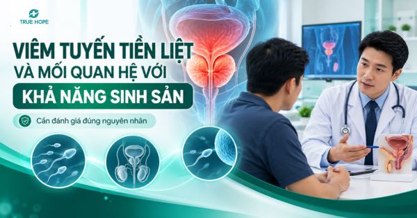 Viêm tuyến tiền liệt và mối quan hệ với khả năng sinh sản