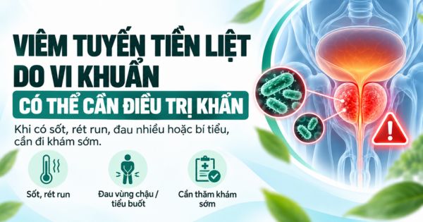 Viêm tuyến tiền liệt do vi khuẩn có thể cần điều trị khẩn