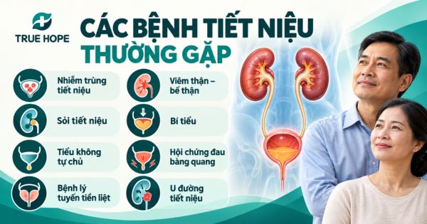 Các bệnh về đường tiết niệu thường gặp