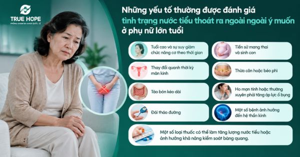 Những yếu tố thường được đánh giá tình trạng nước tiểu thoát ra ngoài ngoài ý muốn ở phụ nữ lớn tuổi