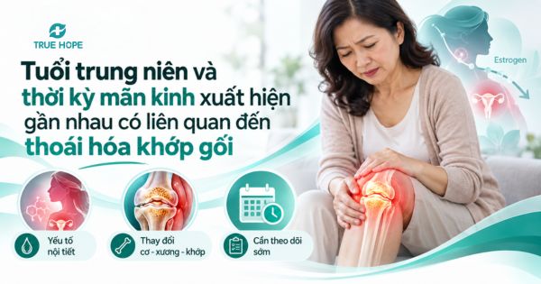 Tuổi trung niên và thời kỳ mãn kinh xuất hiện gần nhau có liên quan đến thoái hóa khớp gối