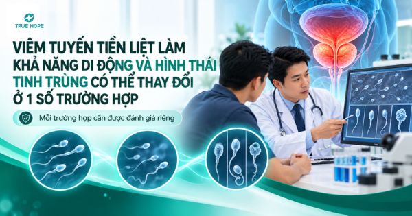 Viêm tuyến tiền liệt làm khả năng di động và hình thái tinh trùng có thể thay đổi ở 1 số trường hợp