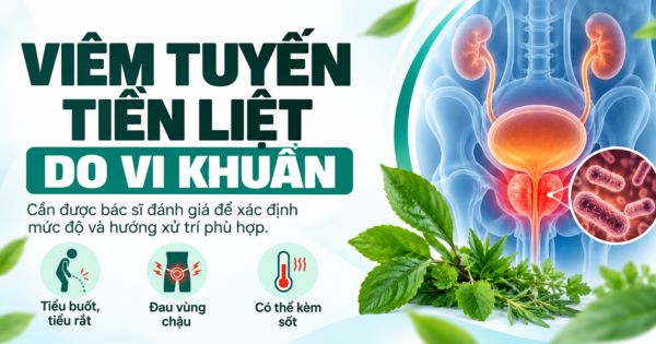 Viêm tuyến tiền liệt do vi khuẩn