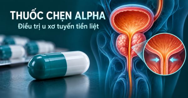 Thuốc chẹn alpha điều trị u xơ tiền liệt tuyến