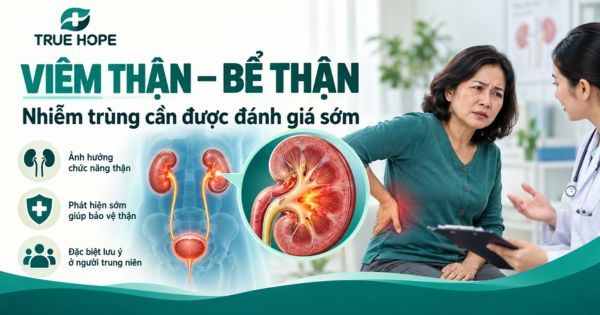 Viêm thận, bể thận - Bệnh lý về đường tiết niệu thường gặp