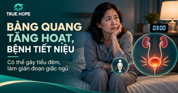 Bàng quang tăng hoạt hoặc bệnh lý đường tiết niệu có thể là nguyên nhân gây mất ngủ lúc 2-3h sáng