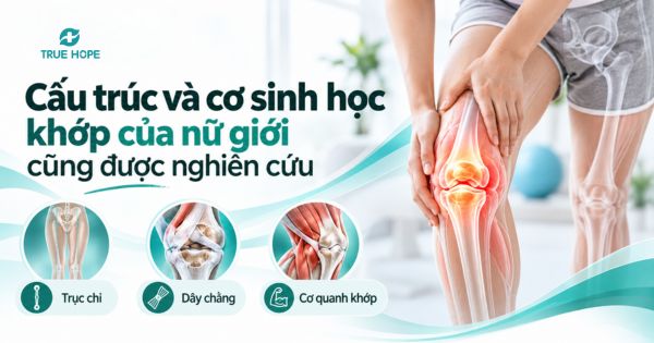 Cấu trúc và cơ sinh học khớp của nữ giới cũng được nghiên cứu