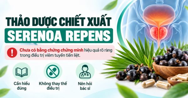 Thảo dược chiết xuất serenoa repens (Chưa có bằng chứng chứng minh)