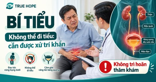 Bí tiểu - Bệnh lý về đường tiết niệu thường gặp