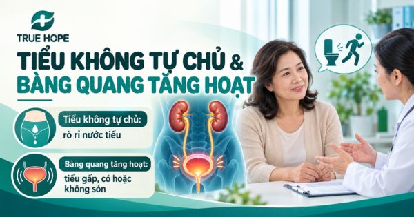 Tiểu không tự chủ và bàng quang tăng hoạt - Bệnh lý về đường tiết niệu thường gặp