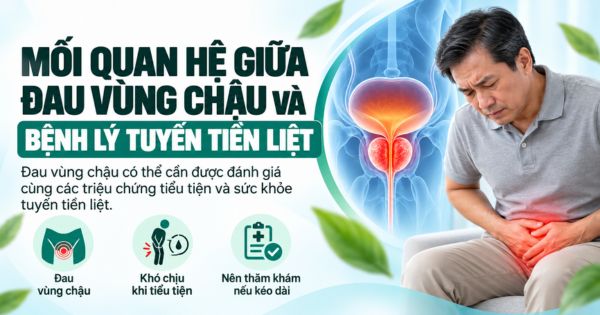 Mối quan hệ giữa đau vùng chậu và bệnh lý tuyến tiền liệt