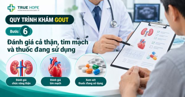 Quy trình khám gout - Đánh giá cả thận, tim mạch và thuốc đang sử dụng