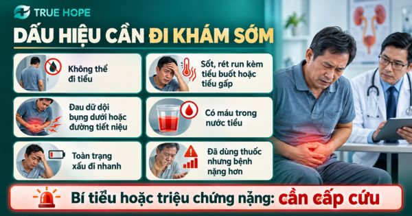 Các biểu hiện cần đi khám sớm khi viêm tuyến tiền liệt