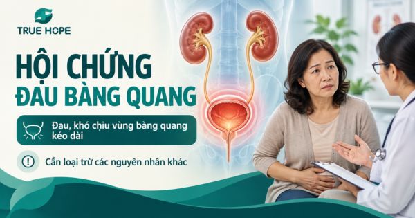 Hội chứng đau bàng quang - Bệnh lý về đường tiết niệu thường gặp